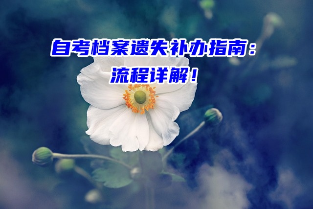 自考档案遗失补办指南：流程详解！