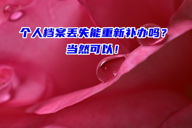 个人档案丢失能重新补办吗？当然可以！