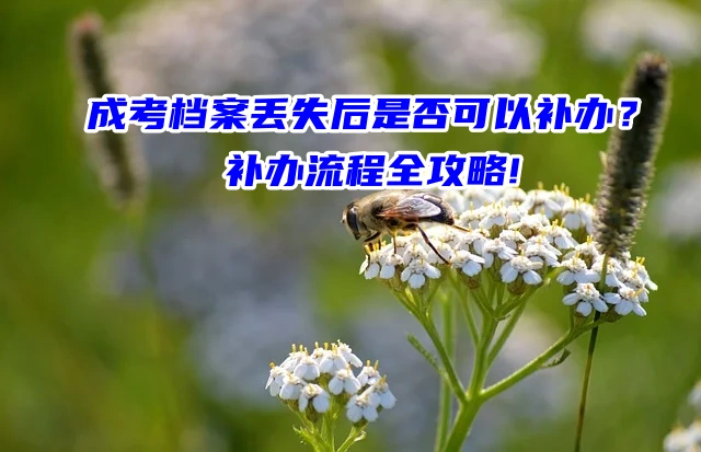 成考档案丢失后是否可以补办？补办流程全攻略!