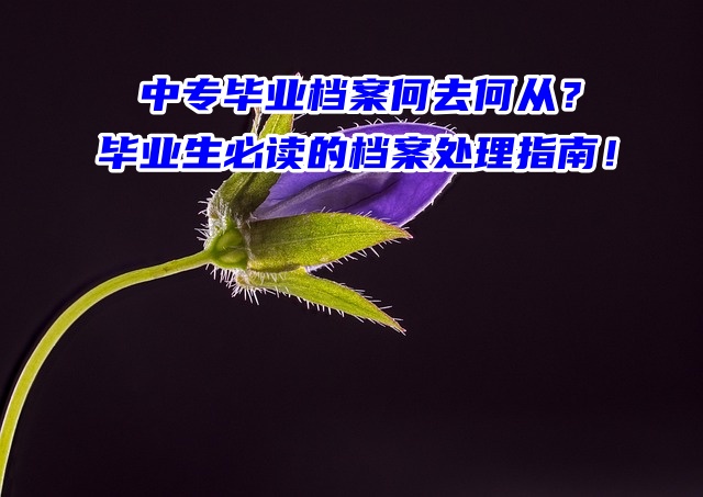 中专毕业档案何去何从？毕业生必读的档案处理指南！