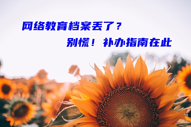 网络教育档案丢了？别慌！补办指南在此