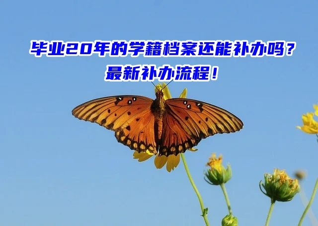 毕业20年的学籍档案还能补办吗？最新补办流程！