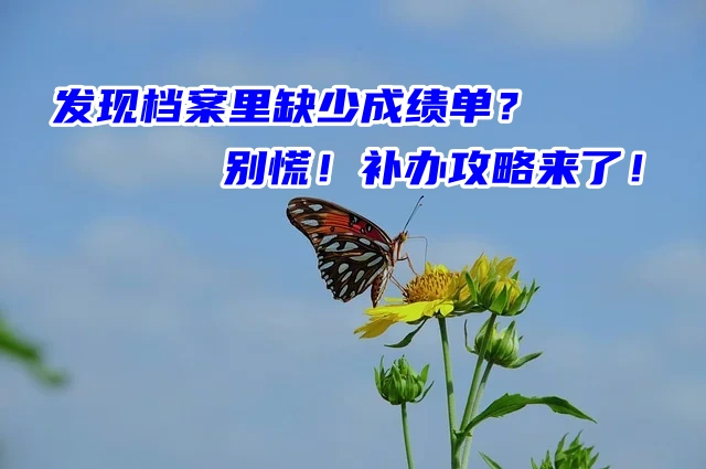 发现档案里缺少成绩单？别慌！补办攻略来了！