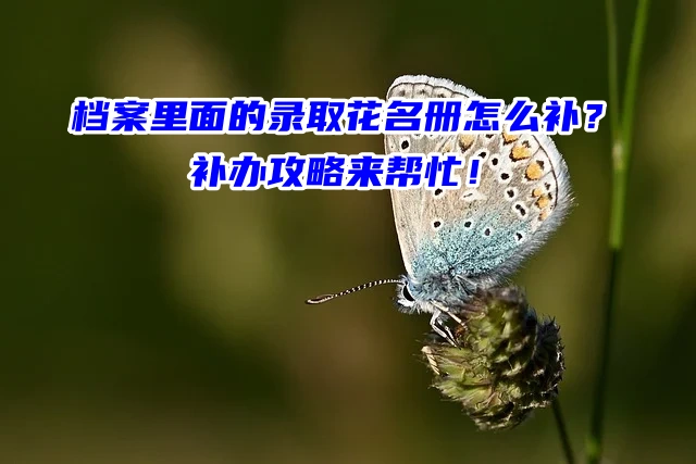 档案里面的录取花名册怎么补？补办攻略来帮忙！