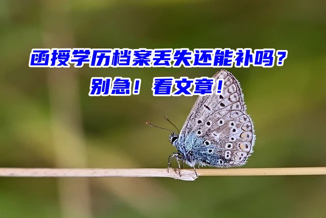 函授学历档案丢失还能补吗？别急！看文章！
