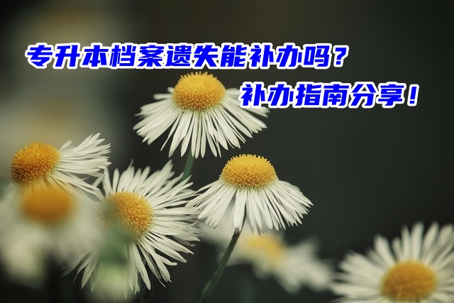 专升本档案遗失能补办吗？补办指南分享！