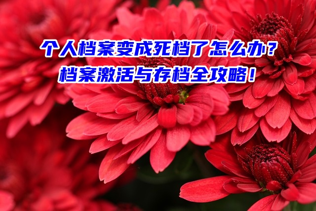 个人档案变成死档了怎么办？档案激活与存档全攻略！