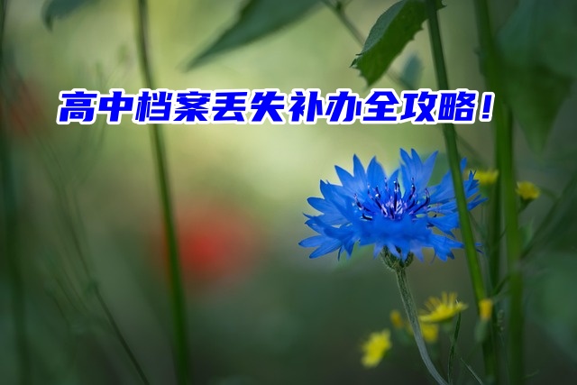 高中档案丢失补办全攻略速看！