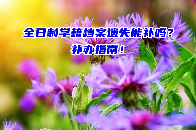 全日制学籍档案遗失能补吗？补办指南！