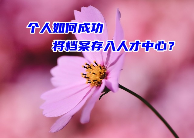个人如何成功将档案存入人才中心？