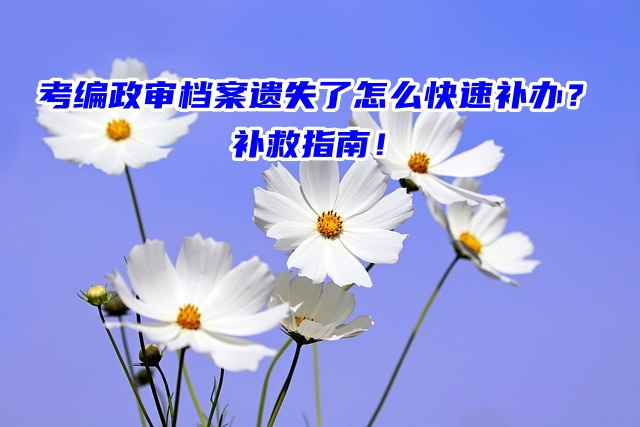 考编政审档案遗失了怎么快速补办？补救指南！