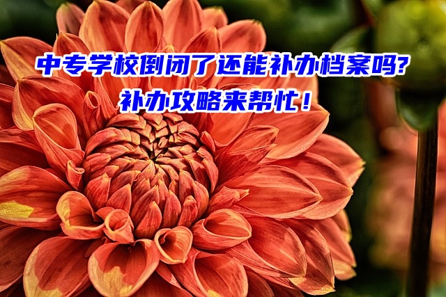 中专学校倒闭了还能补办档案吗?补办攻略来帮忙！