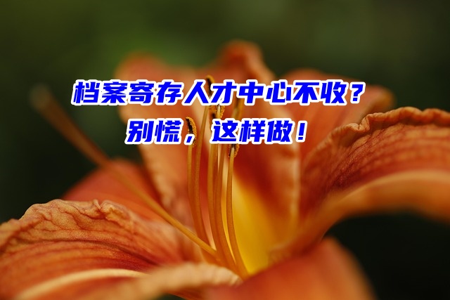 档案寄存人才中心不收？别慌，这样做！