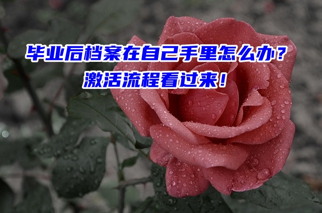 毕业后档案在自己手里怎么办？激活流程看过来！