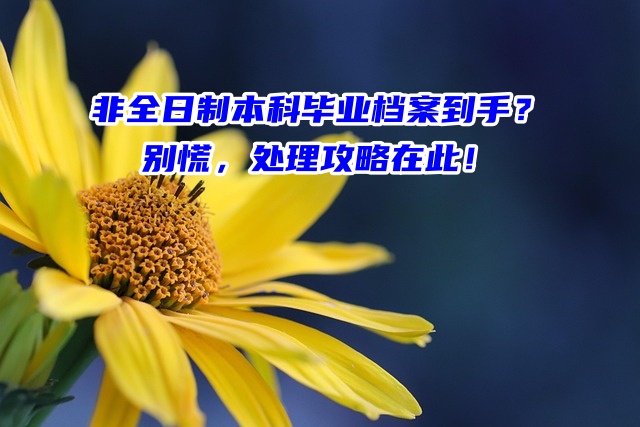 非全日制本科毕业档案发到手里了？别慌，处理攻略在此！