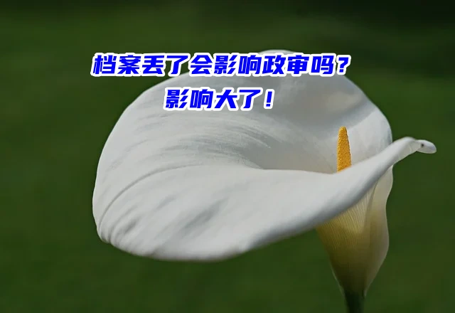 档案丢了会影响政审吗？影响大了！