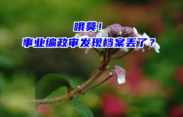 天塌了！事业编政审发现档案丢了？