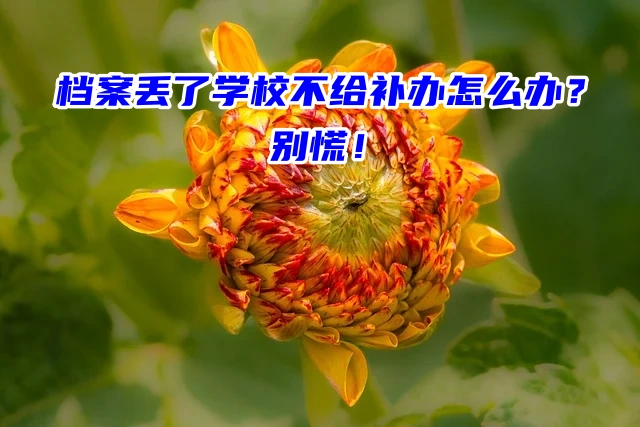 档案丢了学校不给补办怎么办？别慌！