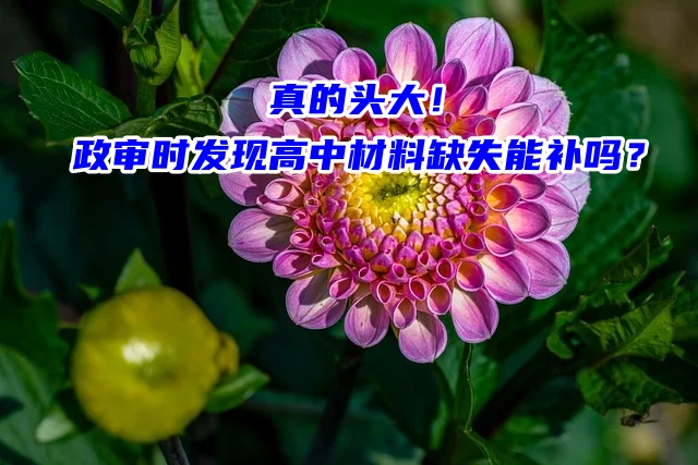 真的头大！政审时发现高中材料缺失能补吗？