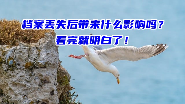 档案丢失后带来什么影响吗？看完就明白了！