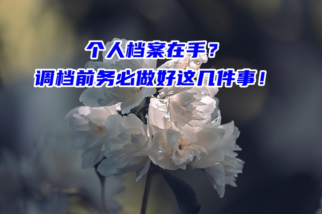 个人档案在手？调档前务必做好这几件事！
