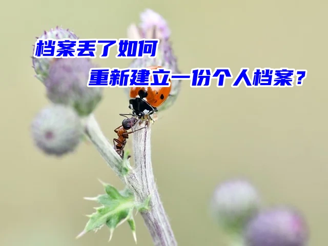 档案丢了如何重新建立一份个人档案？