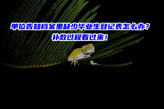 单位告知档案里缺少毕业生登记表怎么办？补救过程看过来！