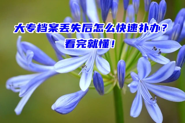 大专档案丢失后怎么快速补办？看完就懂！