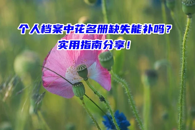 个人档案中花名册缺失能补吗？实用指南分享！