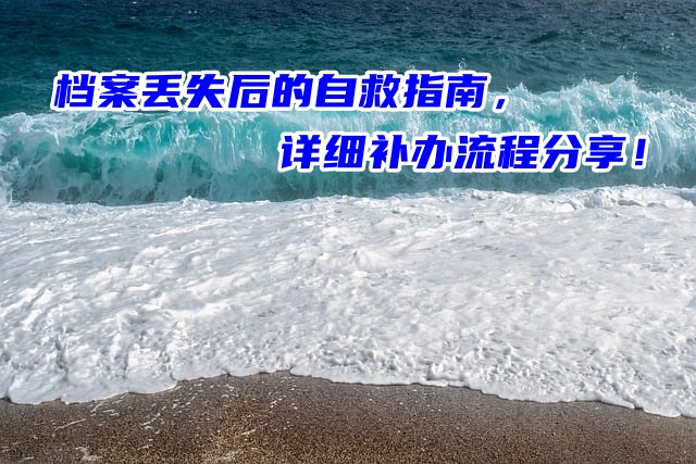 档案丢失后的自救指南，详细补办流程分享！