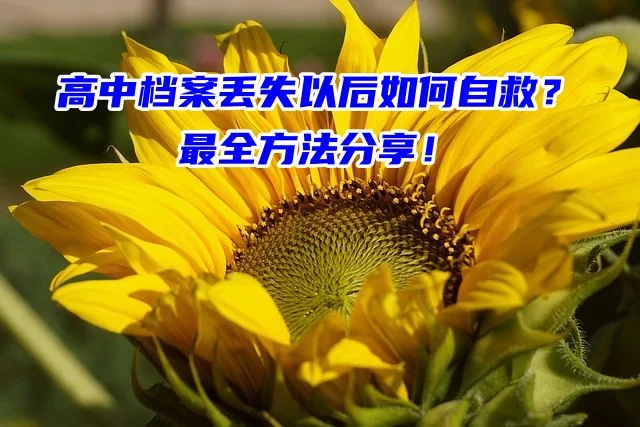高中档案丢失以后如何自救？最全方法分享！