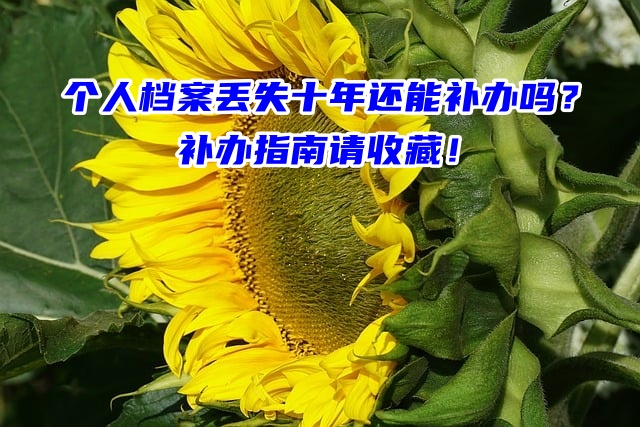 个人档案丢失十年还能补办吗？补办指南请收藏！