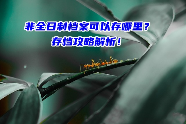 非全日制档案可以存哪里？存档攻略解析！