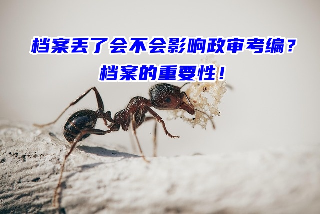 档案丢了会不会影响政审考编？档案的重要性！