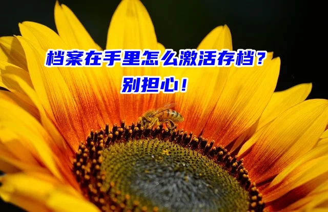 档案在手里怎么激活存档？别担心！
