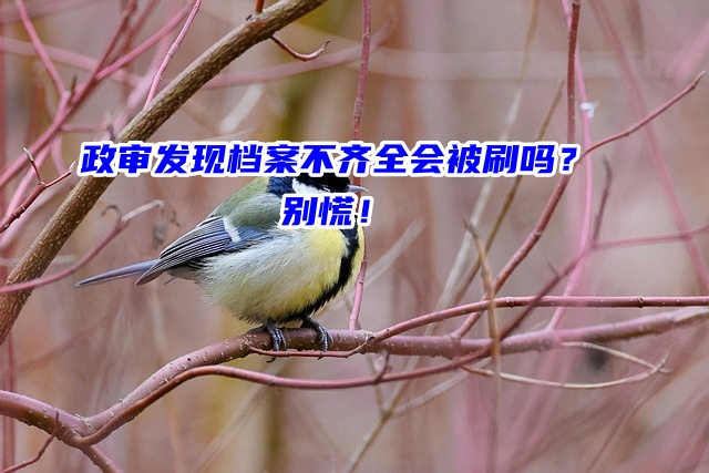 政审发现档案不齐全会被刷吗？别慌！