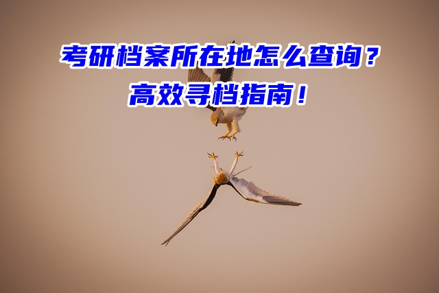 考研档案所在地怎么查询？高效寻档指南！