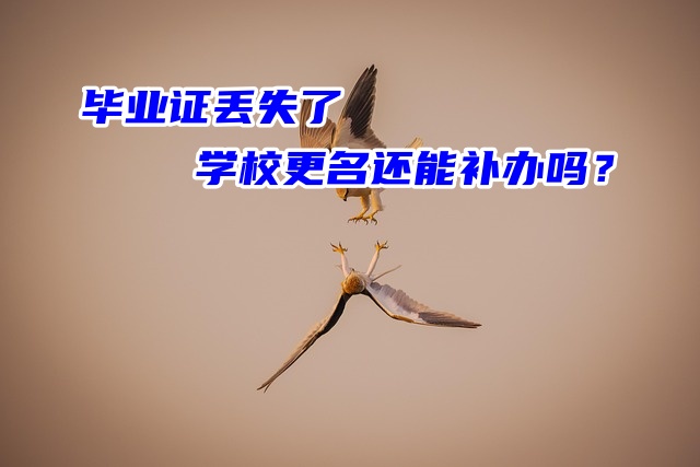 毕业证丢失了学校更名还能补办吗？