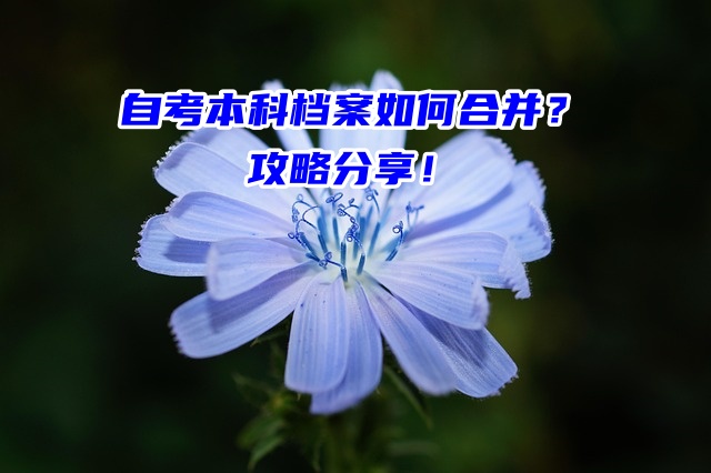 自考本科档案如何合并？攻略分享！