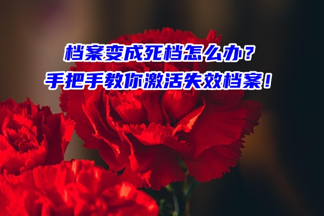 档案变成死档怎么办？手把手教你激活失效档案！