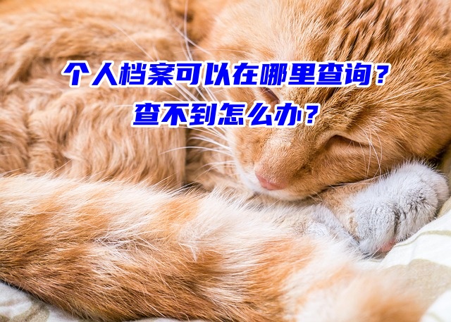 个人档案可以在哪里查询？查不到怎么办？