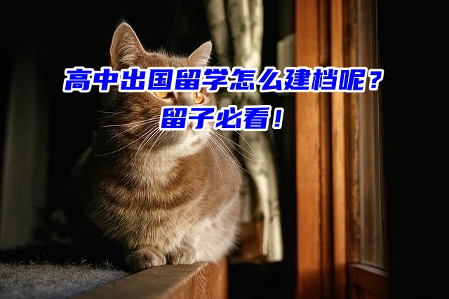 高中出国留学怎么建档呢？留子必看！