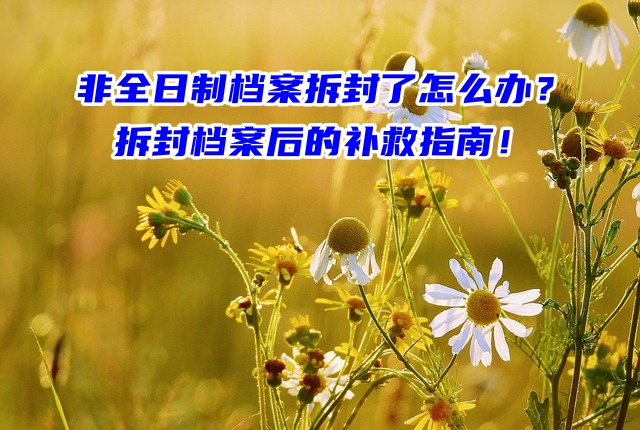 非全日制档案拆封了怎么办？拆封档案后的补救指南！