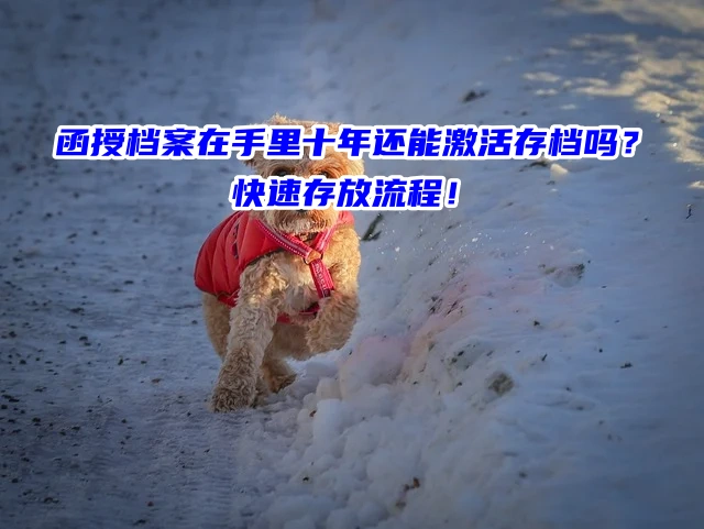 函授档案在手里十年还能激活存档吗？快速存放流程！