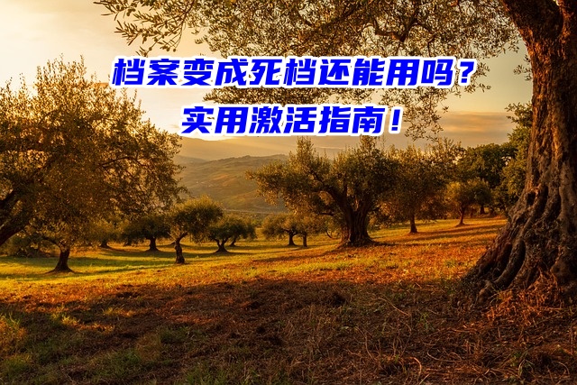 档案变成死档还能用吗？实用激活指南！