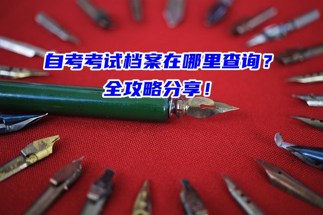 自考考试档案在哪里查询？全攻略分享！