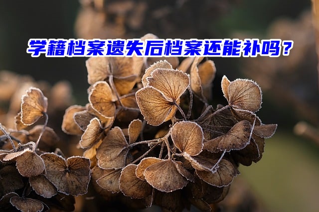 学籍档案遗失后档案还能补吗？按照这个办法来！