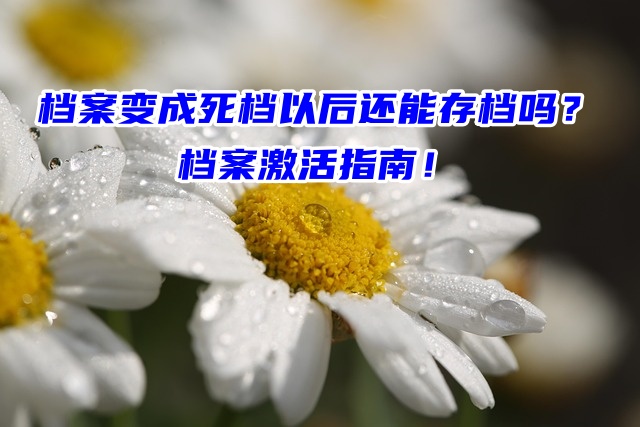 档案变成死档以后还能存档吗？档案激活指南！