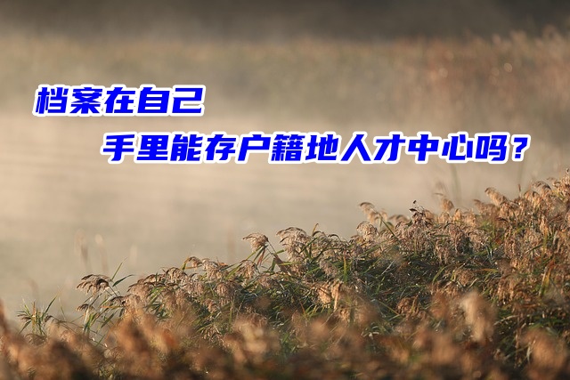 档案在自己手里能存户籍地人才中心吗？