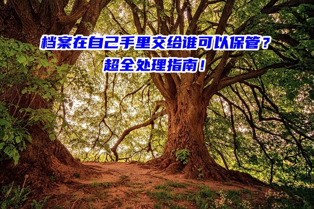 档案在自己手里交给谁可以保管？超全处理指南！